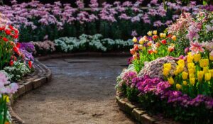 Lire la suite à propos de l’article Gardening Services Business Template for Elementor