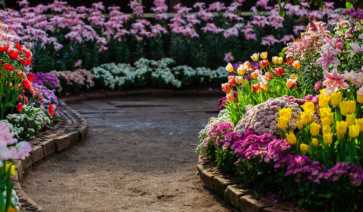 Lire la suite à propos de l’article Gardening Services Business Template for Elementor